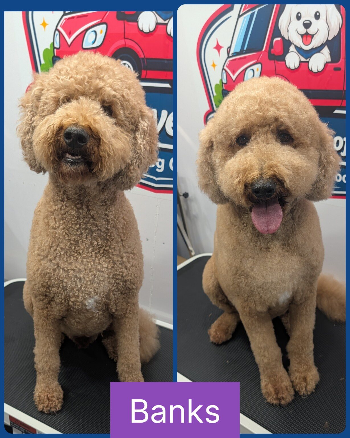 Banks before and after his groom