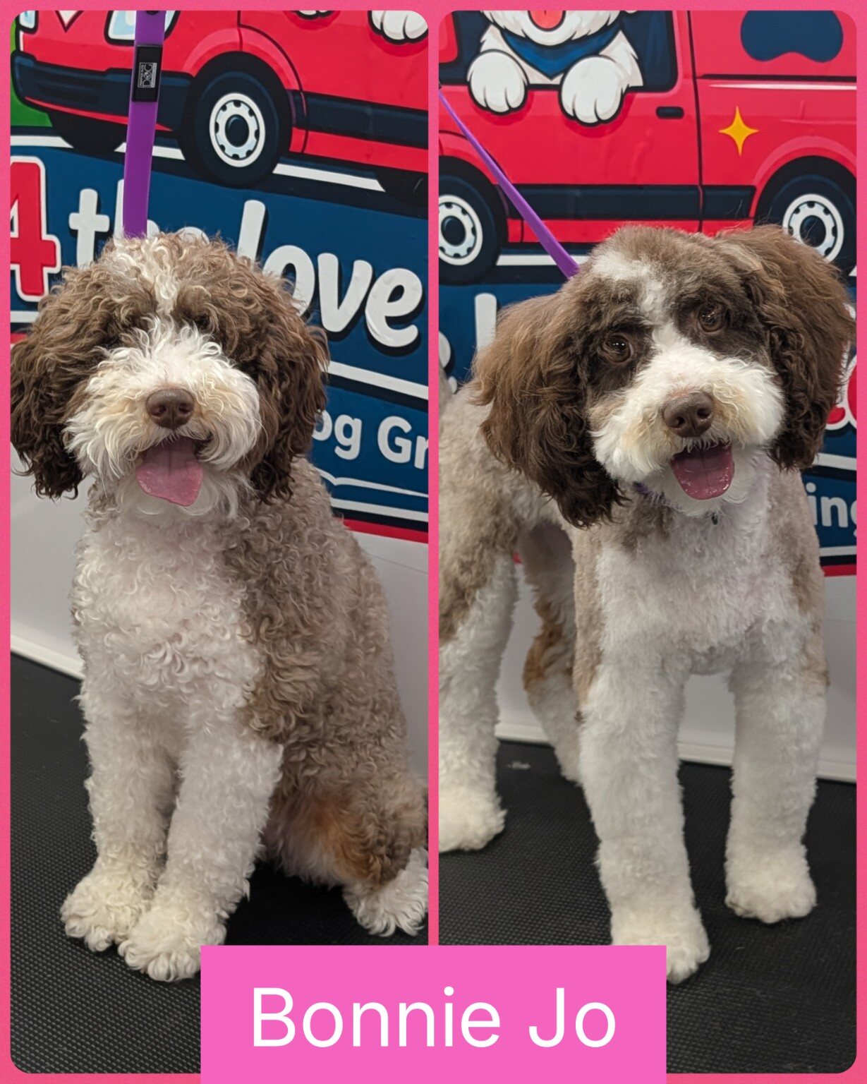 Bonnie Jo before and after her groom
