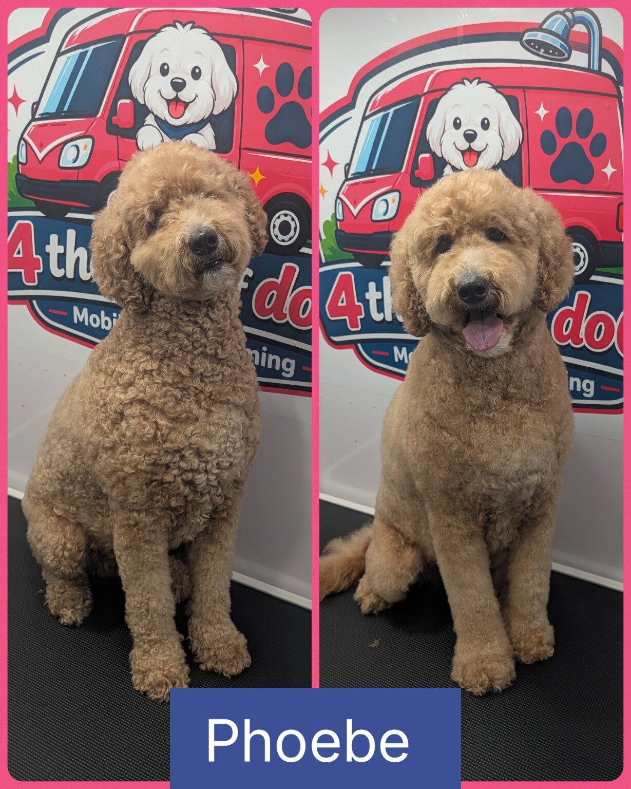 Phoebe before and after her groom